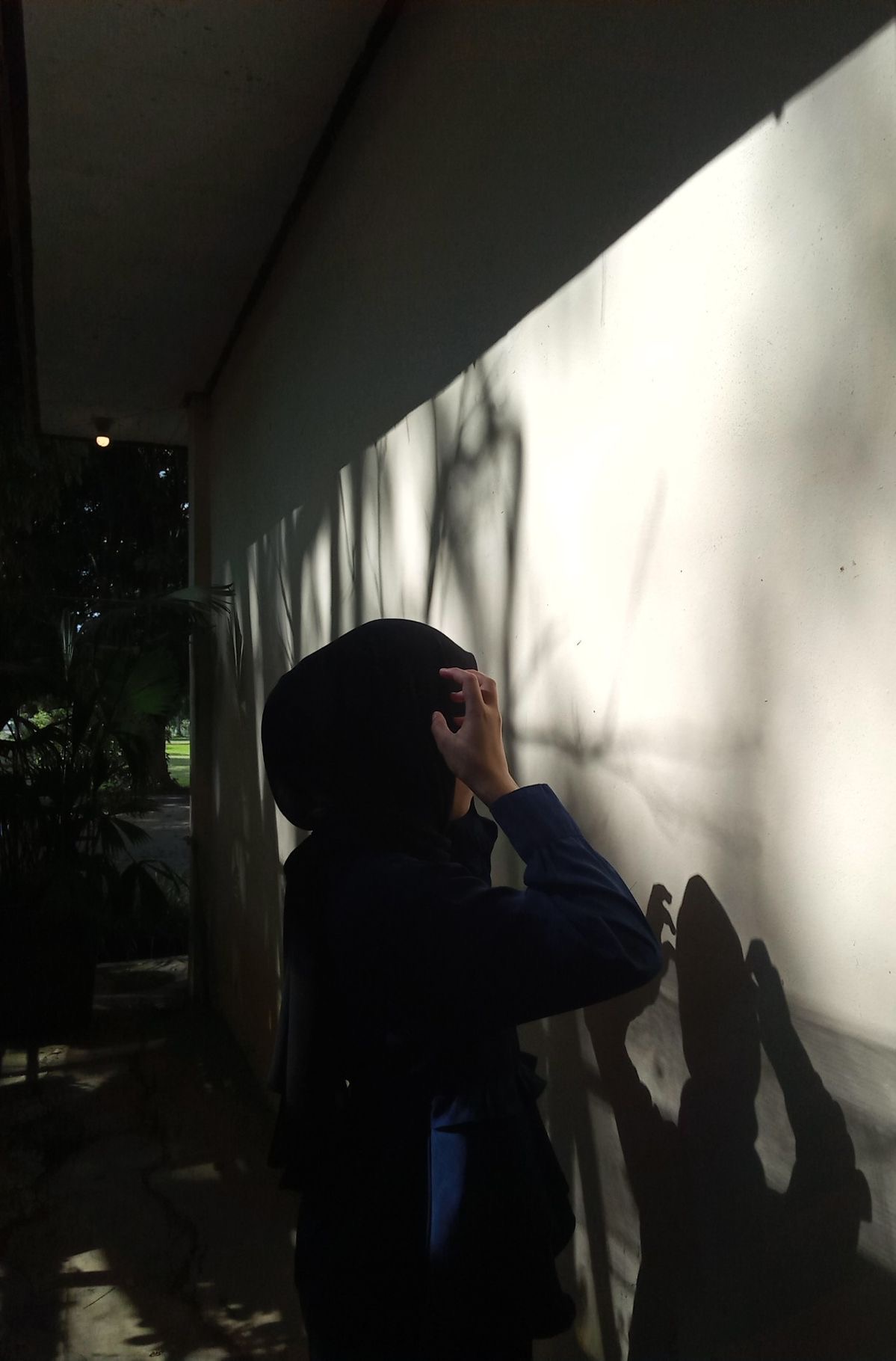 Ava